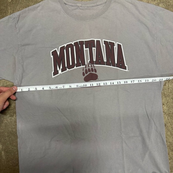 Montana Grizzlies T-Shirt Mens Size XL Grey Collegiate Fan Gear Logo Print Athle - Picture 3 of 5